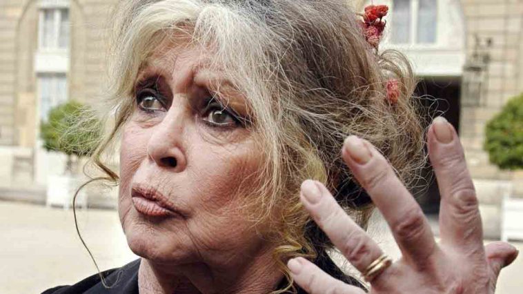 A 86 ans, Brigitte Bardot est condamnée par la justice !