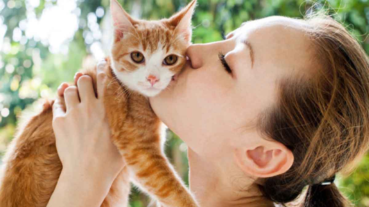Astrologie : la race de chat faite pour vous en fonction de votre signe de lhoroscope ?