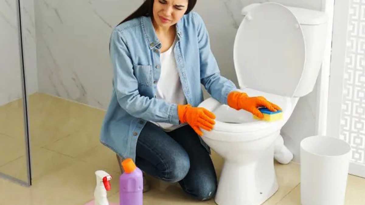 Trucs et astuces pour blanchir le fond des toilettes et se débarrasser des taches de calcaires tenaces