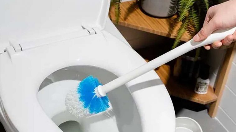 Nettoyer correctement la brosse des toilettes
