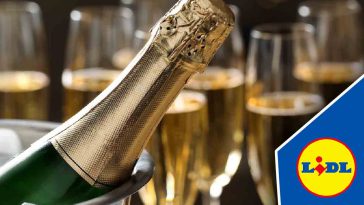 Le saviez-vous que le champagne au meilleur rapport qualité-prix se trouve chez Lidl ?