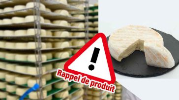 Rappel produit : méfiez-vous de ces fromages contaminés par la bactérie E.Coli ne les mangez surtout pas !